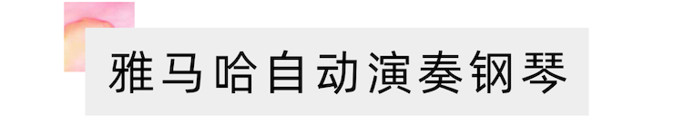 活动报道 | “科技助力，跨越时空”，小鹿纯子携手刘明康共享中日音乐盛宴